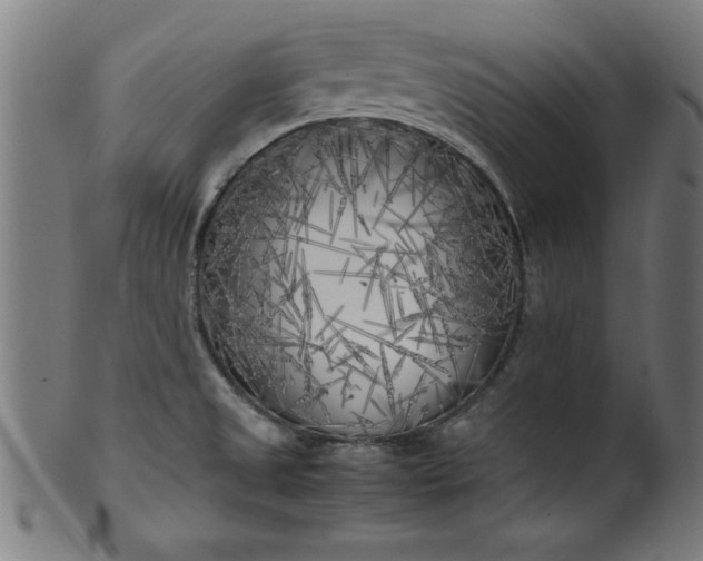 X0000099931525200806061441