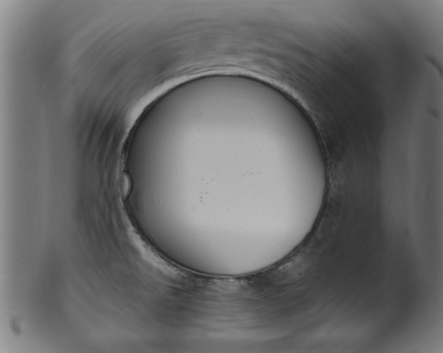 X0000099931526200806061441