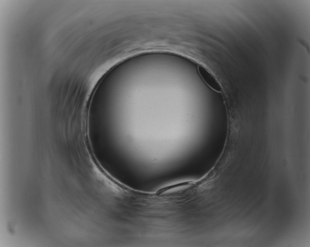 X0000099931527200806061441