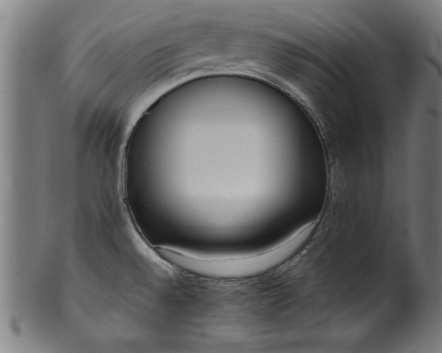 X0000099931528200806061441