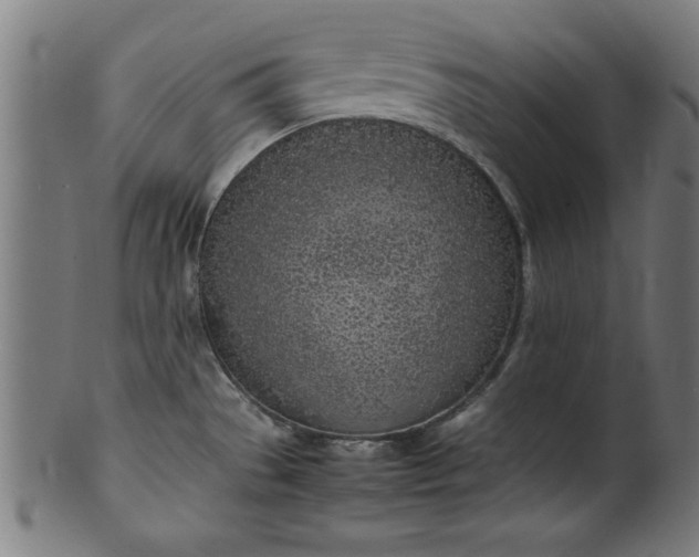 X0000099931529200806061441