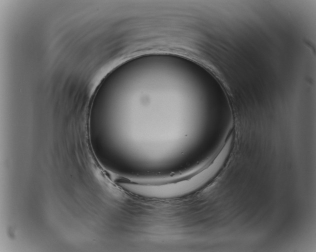 X0000099931530200806061441