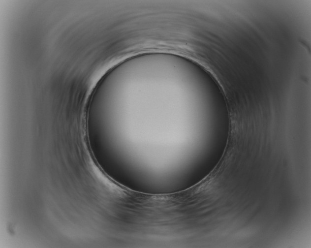 X0000099931531200806061441