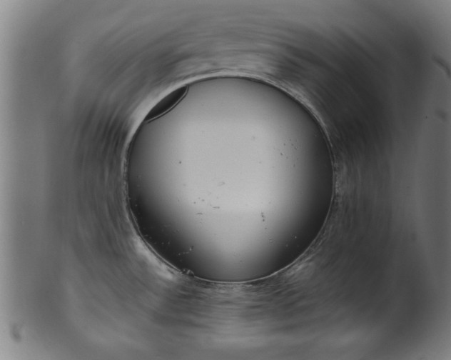 X0000099931532200806061441