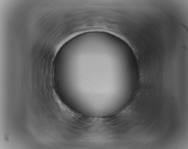 X0000099931534200806061441