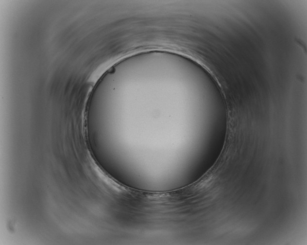 X0000099931535200806061441