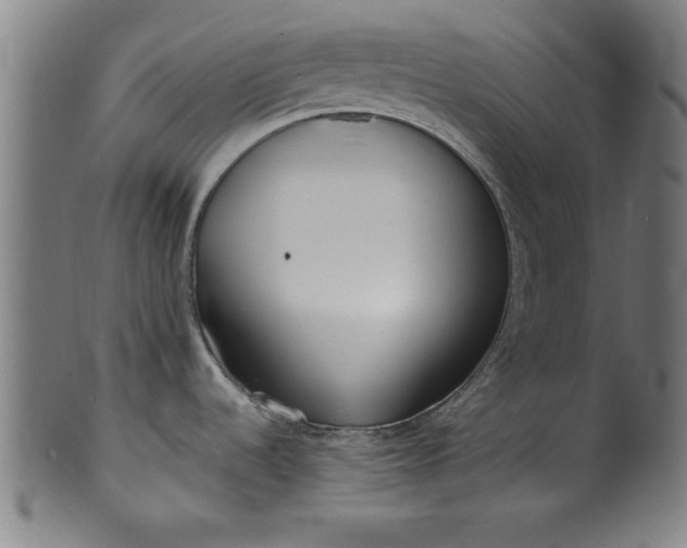 X0000099931536200806061441