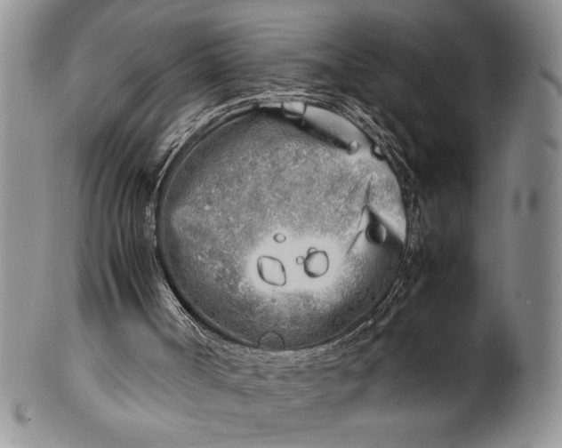 X0000099930002200806131413