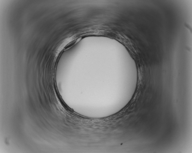 X0000099930003200806131413