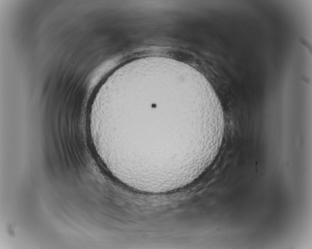 X0000099930006200806131413