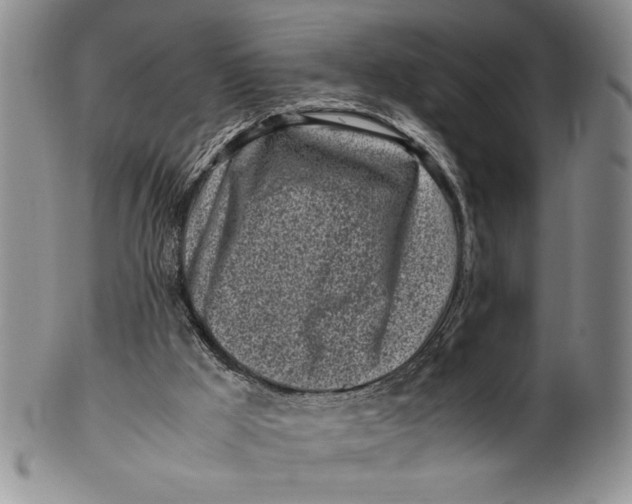 X0000099930009200806131413