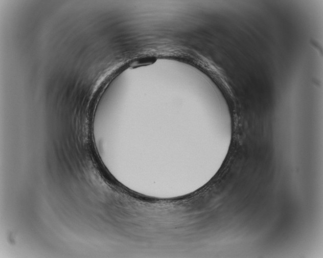 X0000099930012200806131413