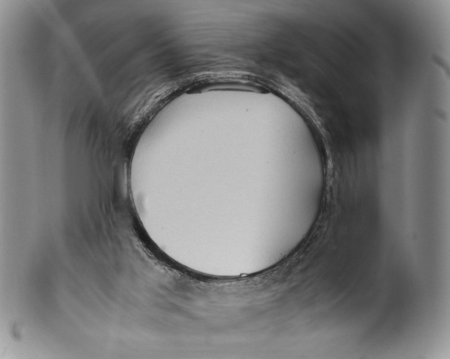 X0000099930013200806131413