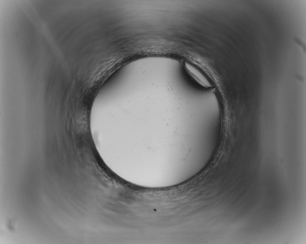 X0000099930017200806131413