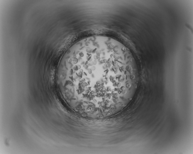 X0000099930018200806131413