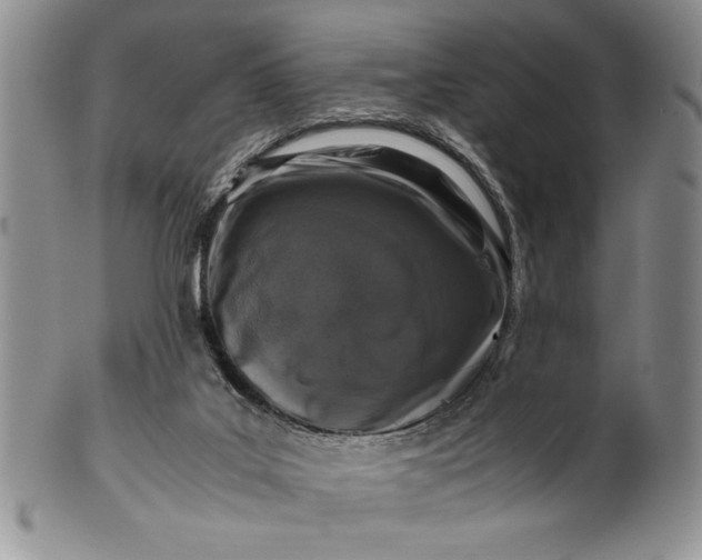 X0000099930019200806131413