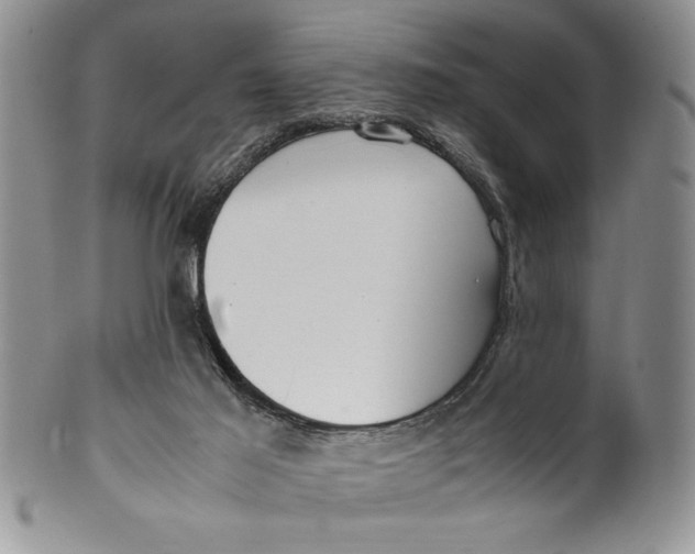 X0000099930021200806131413