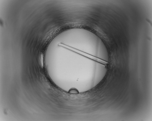 X0000099930022200806131413