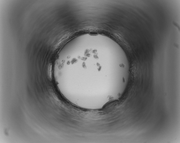 X0000099930024200806131413