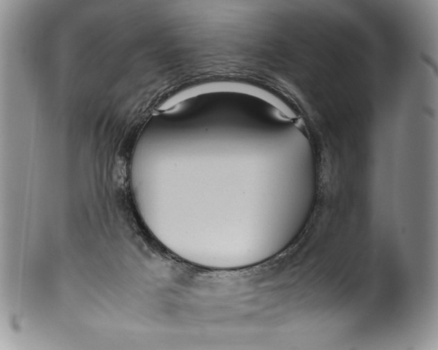 X0000099930025200806131413