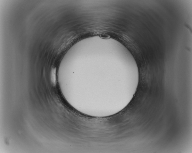 X0000099930028200806131413