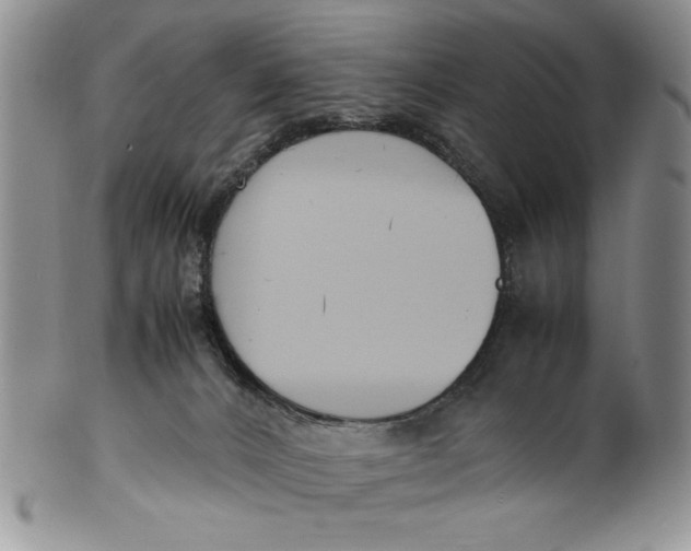 X0000099930032200806131413