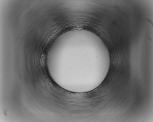 X0000099930036200806131413