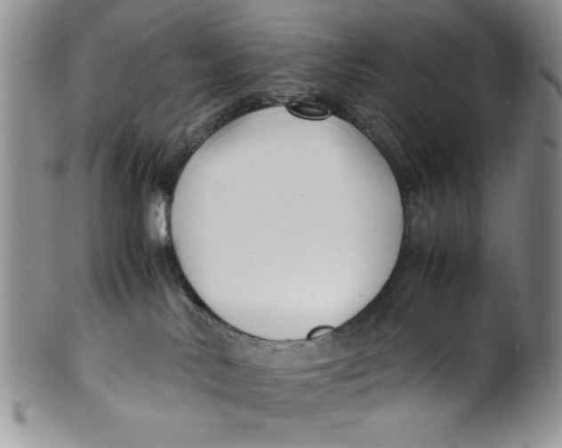 X0000099930042200806131412