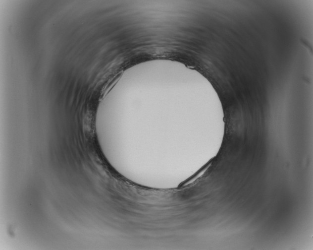 X0000099930044200806131412