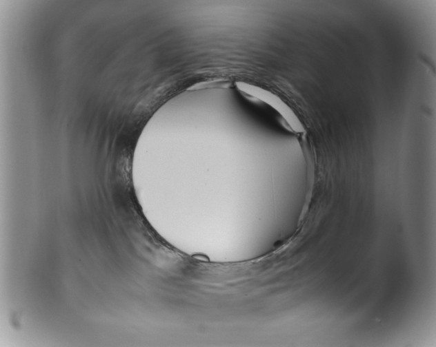 X0000099930045200806131412