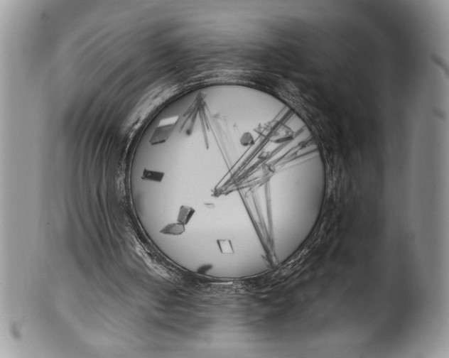 X0000099930050200806131412