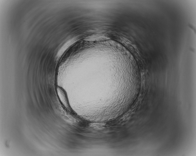 X0000099930051200806131412