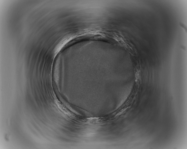 X0000099930052200806131412