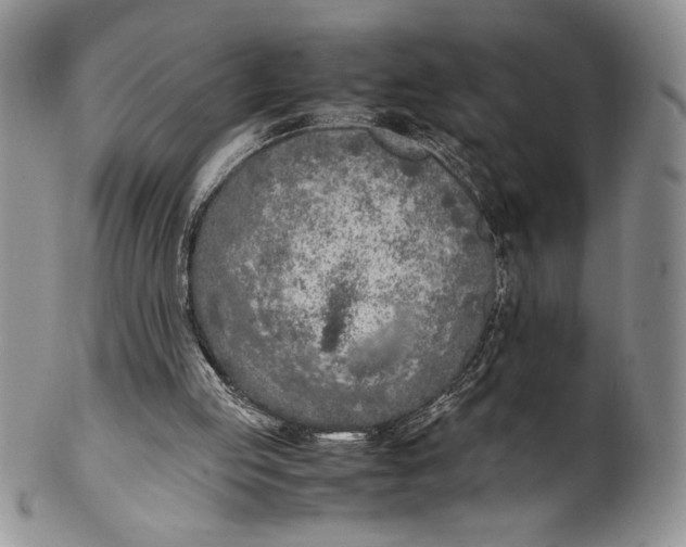 X0000099930053200806131412