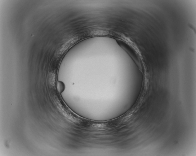 X0000099930057200806131412