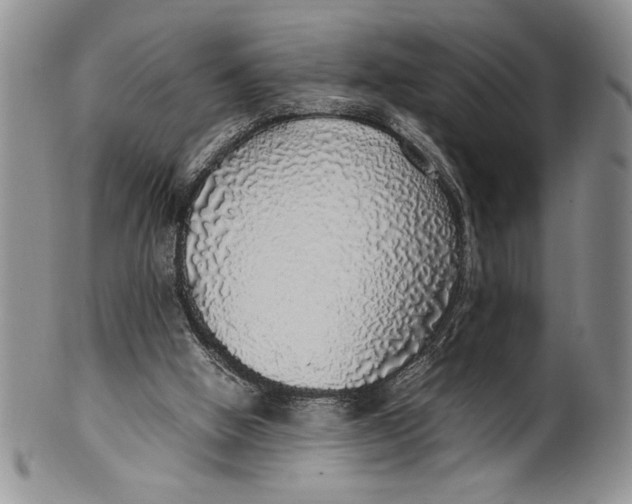 X0000099930058200806131412