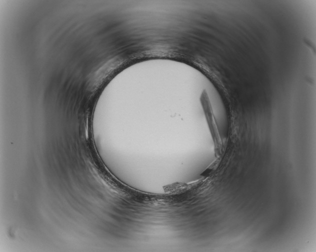 X0000099930062200806131412