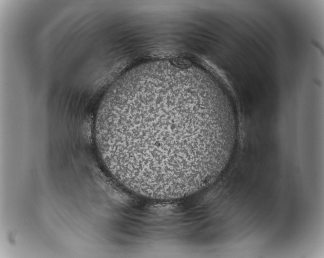 X0000099930065200806131412