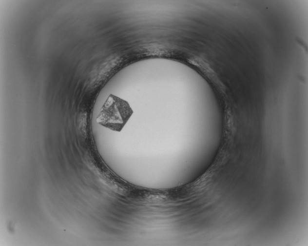 X0000099930066200806131412