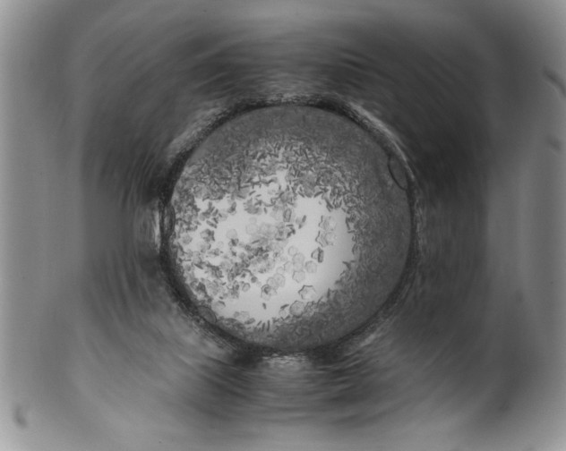 X0000099930067200806131412