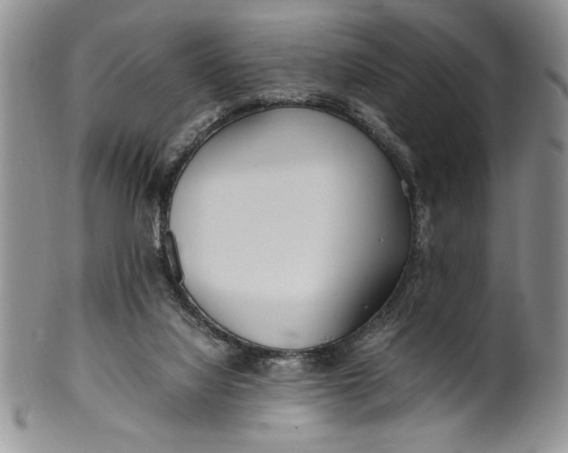 X0000099930068200806131412