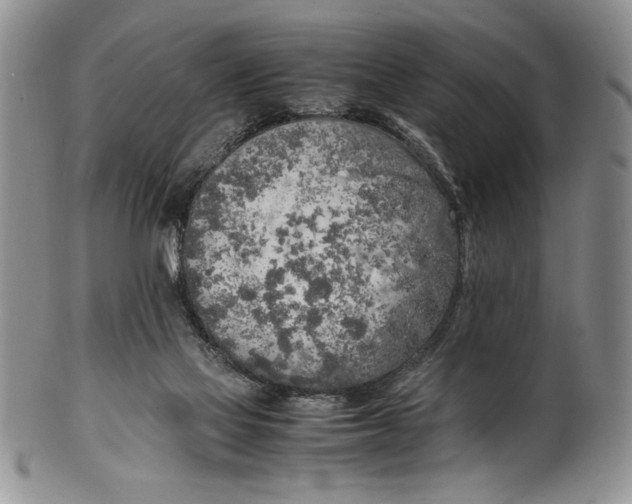 X0000099930069200806131412