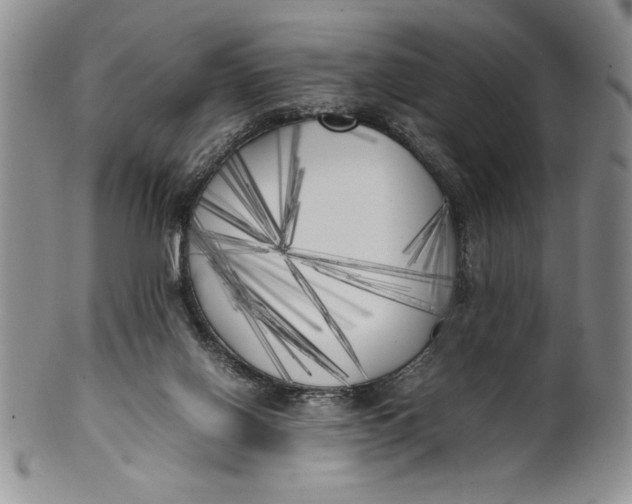 X0000099930070200806131412