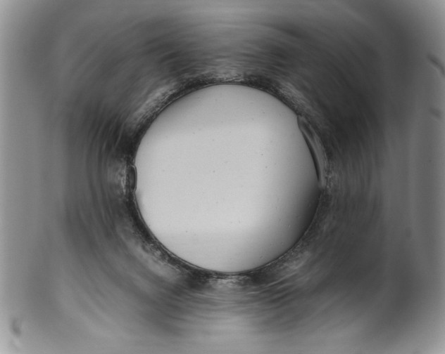 X0000099930072200806131412