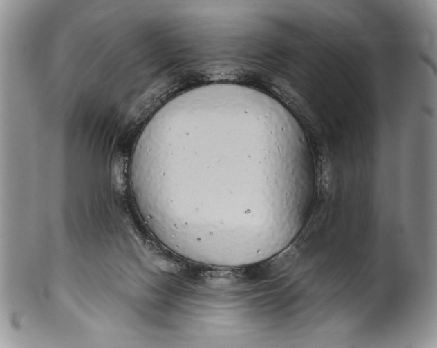 X0000099930074200806131412