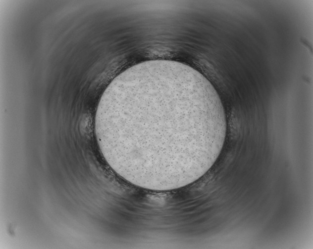 X0000099930079200806131412