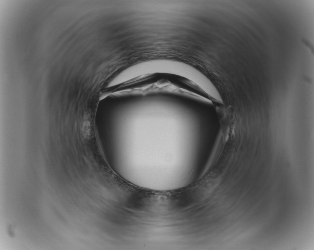 X0000099930080200806131412