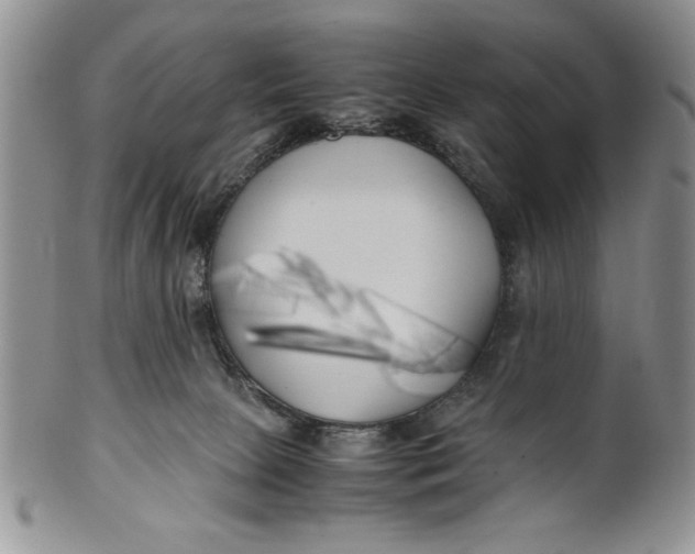 X0000099930081200806131412