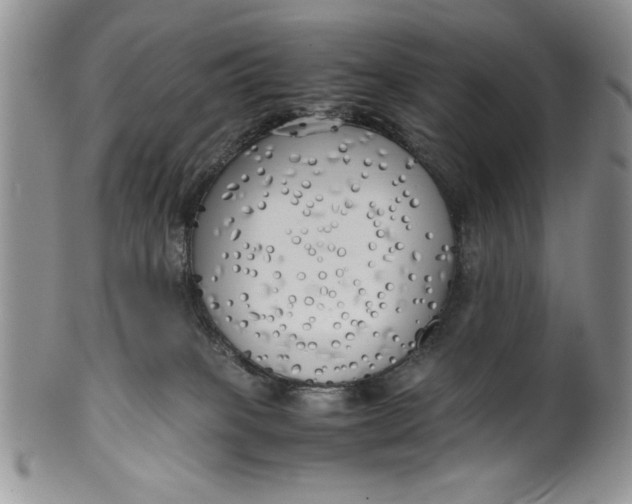 X0000099930085200806131412