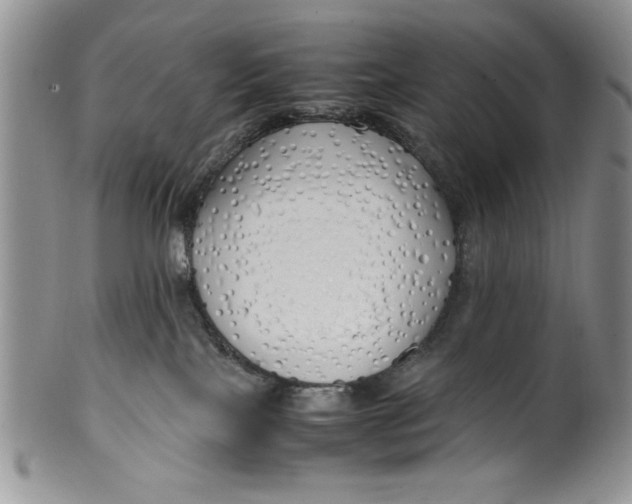 X0000099930089200806131412